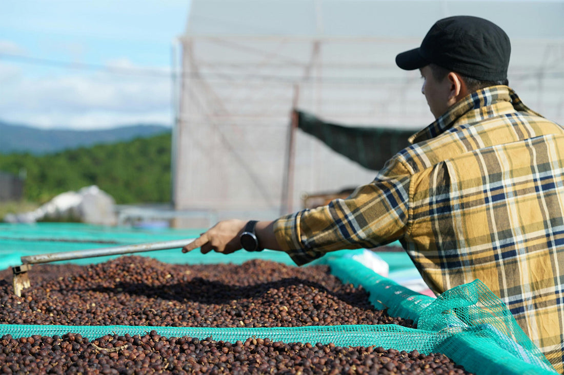 Brewing Resilience: How the Coffee Industry is Innovating Amidst Tariff Challenges