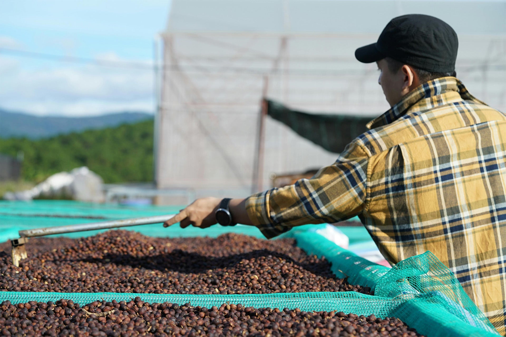 Brewing Resilience: How the Coffee Industry is Innovating Amidst Tariff Challenges