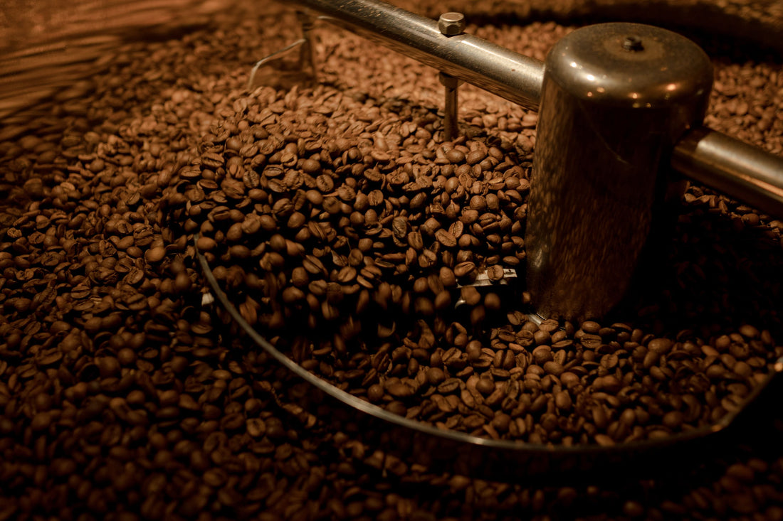 The Best Espresso Beans for Home Brewing (2026 Guide)