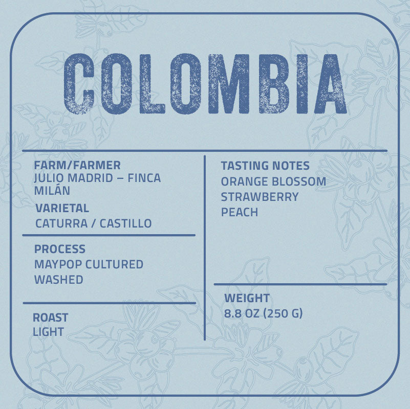 Julio Cesar Madrid – Finca Milán – Maypop Cultured Washed